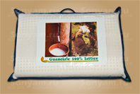  Latexcel Ergo (EX D21)