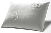 ������� Sealy Pulp